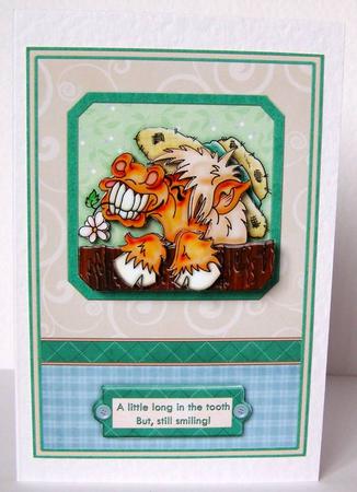 Long in the Tooth Birthday Decoupage by Margaret McCartney