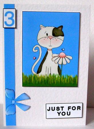 White Cat in Grass by Margaret McCartney