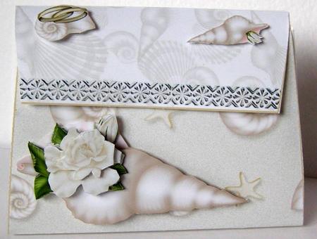 White Rose Shell - Handbag Box by Margaret McCartney