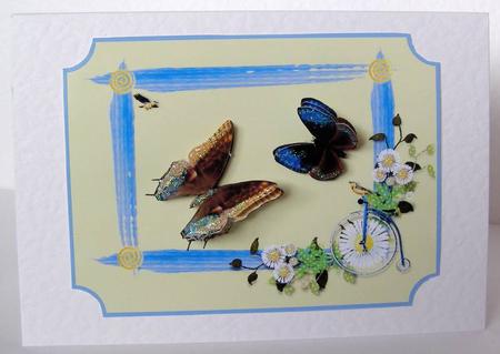 Two Butterfly Toppers by Margaret McCartney