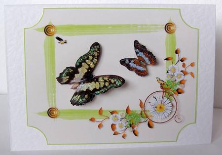 Butterfly Toppers 2 Featured Gallery Photo