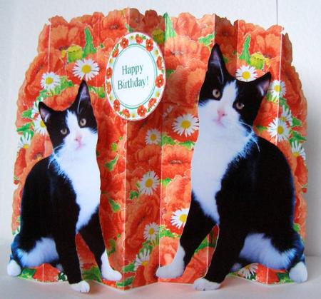 Black and White Cats and Poppies Concertina Card Kit by Margaret McCartney