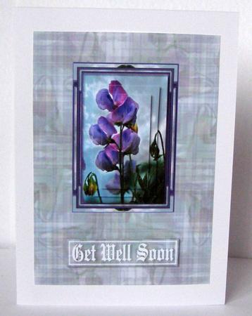 Sweet Pea Card by Margaret McCartney