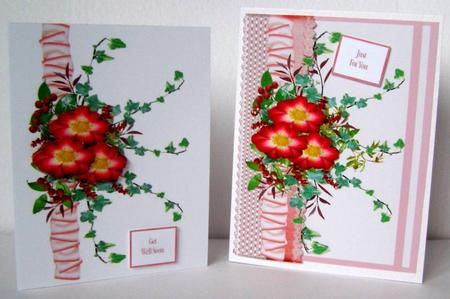 'rosa Dortmund' Card Kit by Margaret McCartney