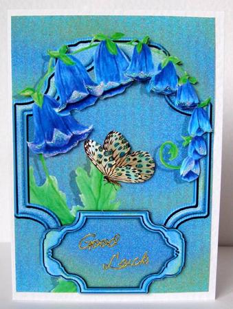 Bluebell Wishes by Margaret McCartney