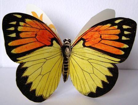 Butterfly Stand Up Card 15 by Margaret McCartney