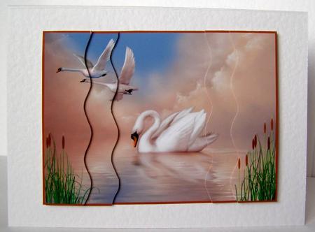 Swan Lake by Margaret McCartney