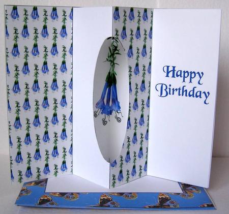 Internal Window Card - Spotted Butterflies by Margaret McCartney