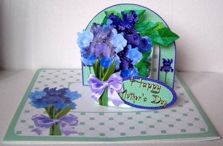 3D Box ' Irises' by Margaret McCartney