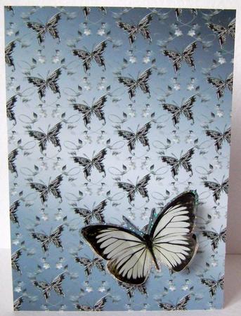 Butterfly Backing Paper-02 by Margaret McCartney