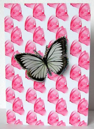 Butterfly Wing Backing Paper by Margaret McCartney