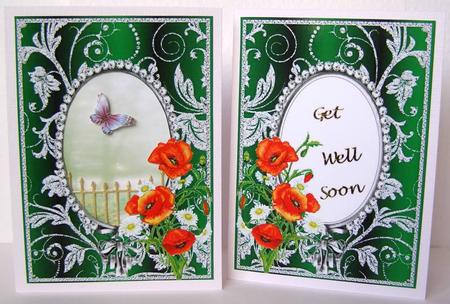 Poppies and Daisies on Green with Diamonds Double Frames by Margaret McCartney