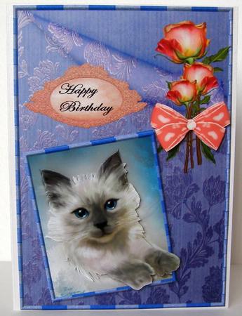 Cute Kitten in Peach and Lilac by Margaret McCartney