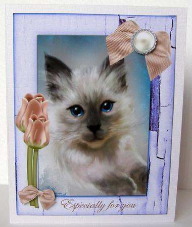 Especially for You by Margaret McCartney