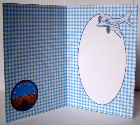 Plane Insert (blue Plaid) by Margaret McCartney