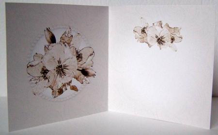 Posy & Pearls Insert - Square Portrait by Margaret McCartney