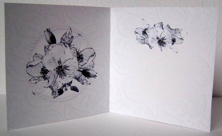 Posy & Pearls Insert - Square Portrait by Margaret McCartney
