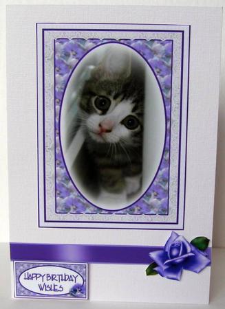 Little Peeping Cat Topper by Margaret McCartney