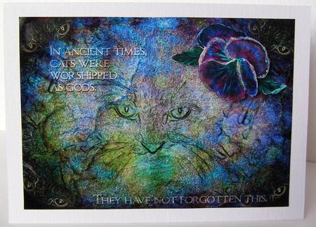 Lechat 11, Forgotten by Margaret McCartney