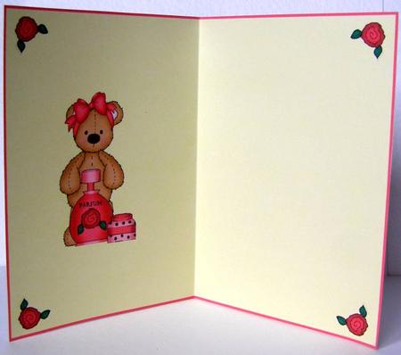 Pretty in Pink Insert by Margaret McCartney
