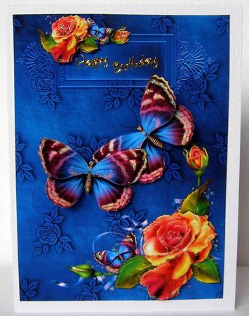 Butterfly World by Margaret McCartney