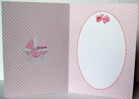 New Pink Baby Girl Insert by Margaret McCartney