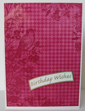 Cerise Bird Edge Check A4 Backing Paper by Margaret McCartney