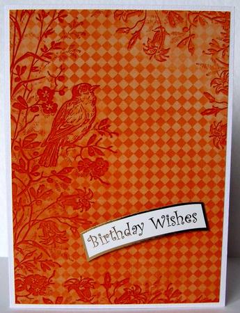Gold Bird Edge Check A4 Backing Paper by Margaret McCartney