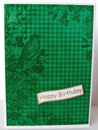 Dark Green Bird Edge Check A4 Backing Paper by Margaret McCartney