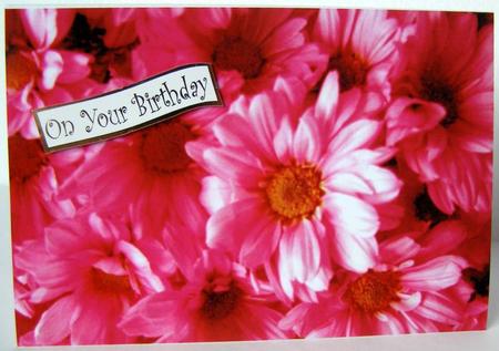 Chrysanthemums Pink by Margaret McCartney