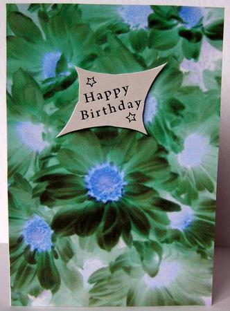 Chrysanths Magical by Margaret McCartney