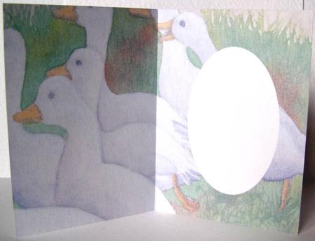 Ducks Insert Featured Gallery Photo