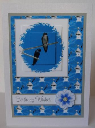 Purple Martin Birds Qs by Margaret McCartney