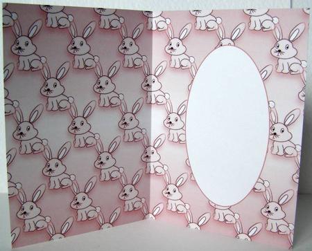 Bunny Pink Insert by Margaret McCartney