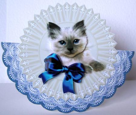 Wobble Card Kitten in Bleu and Grey by Margaret McCartney