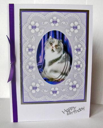 Kute Kitty 'n Lace A5 Pyramid Card Front by Margaret McCartney