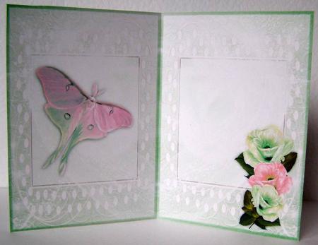 Enchanted Blooms 5 Insert by Margaret McCartney