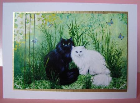 Black & White Long Haired Cats A5 Side Stacker Card Front by Margaret McCartney