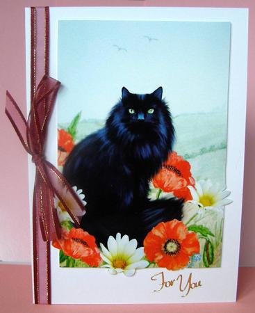 Black Cat Poppies & Daisies A4 Card Front by Margaret McCartney