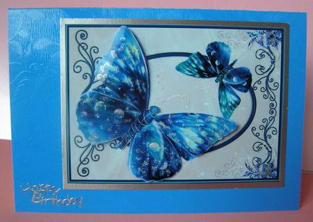 2 Butterflies by Margaret McCartney