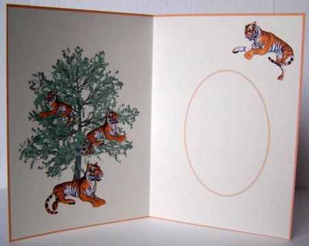 Tiger Insert by Margaret McCartney