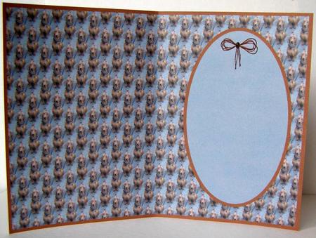 Dachshund Short Hair Insert by Margaret McCartney