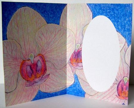 Moth Orchid Insert with Oval Space by Margaret McCartney