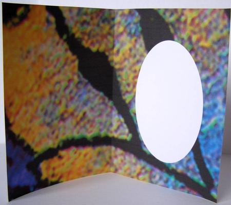 Golden Butterfly or Fairy Wing Insert by Margaret McCartney