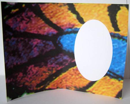 Peacock Butterfly or Fairy Wing Insert by Margaret McCartney