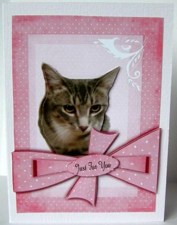My Best Friend Cates Cat by Margaret McCartney