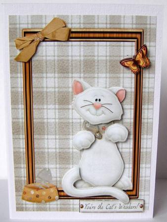 White Cat in Brown Wooden Frame by Margaret McCartney