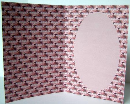 Pinks by Margaret McCartney