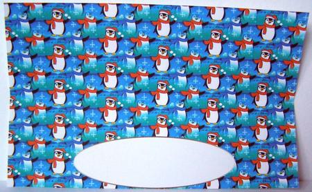 Dl Penguin Insert by Margaret McCartney