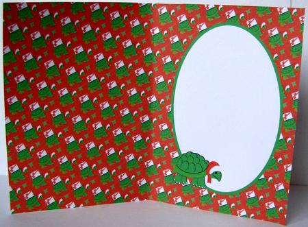 Turtle with Package Is by Margaret McCartney
